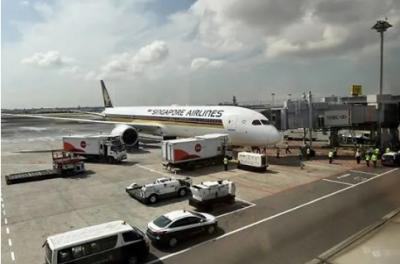 Boeing Aircraft Engine Problem! SIA's two 787-10 planes grounded