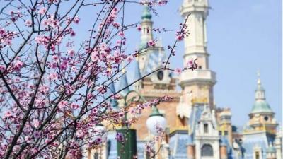 Shanghai Disneyland Resort Suspended Opening on August 10 Affected by Typhoon